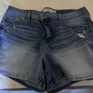 Torrid Shorts